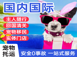 舟山机场快运国际宠物托运 【国